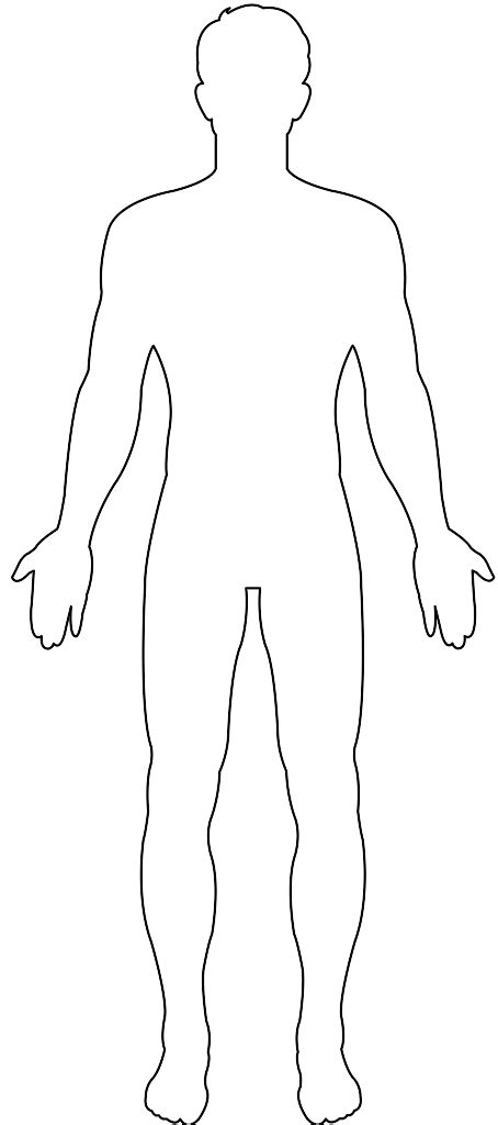 male body outline